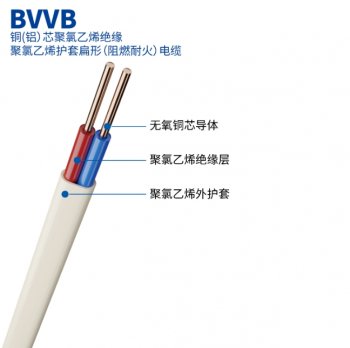 BVVB