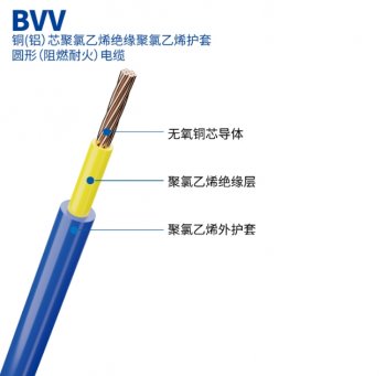 BVV