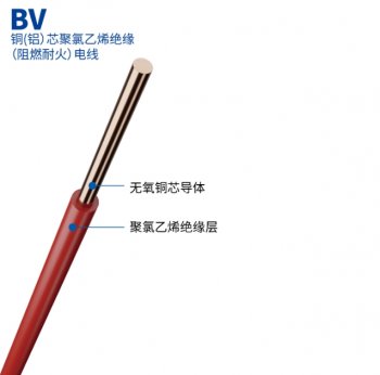 BV