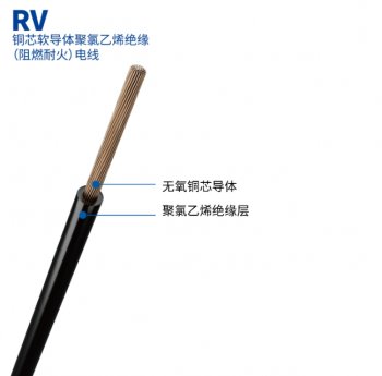 RV